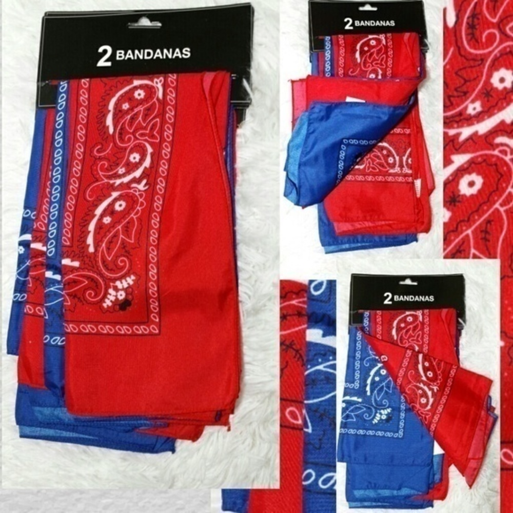 Classic Paisley Print Bandana Set Of 2
